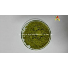 Natural High Quality Moringa Oleifera Powder